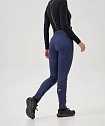 Тренировочные брюки Nordski Advance Blueberry W